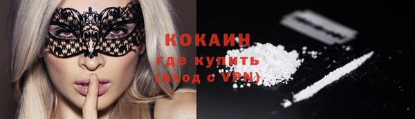 индика Абинск