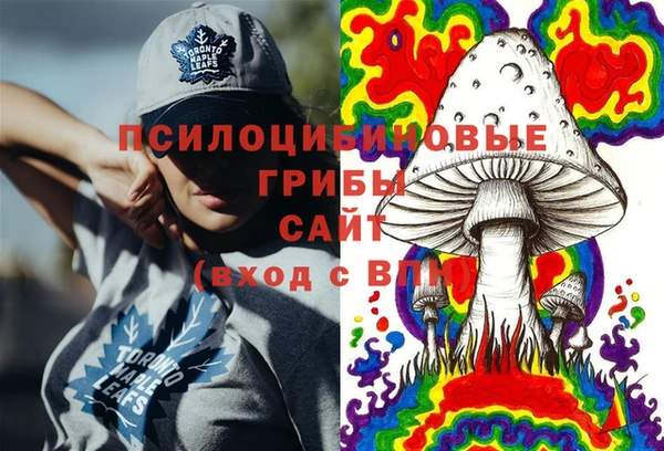 индика Абинск