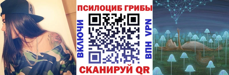 Псилоцибиновые грибы Cubensis  Заволжье 