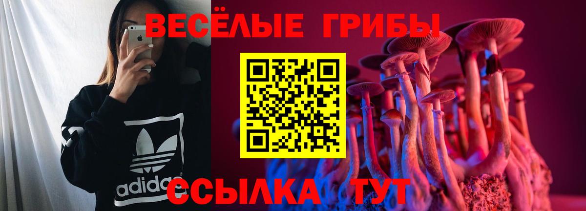 Псилоцибиновые грибы мицелий Заволжье
