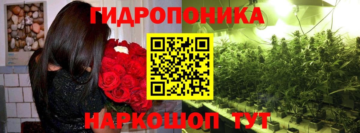 Канабис конопля  Вход с VPN  Марихуана White Widow  Каннабис AK-47  Заволжье 